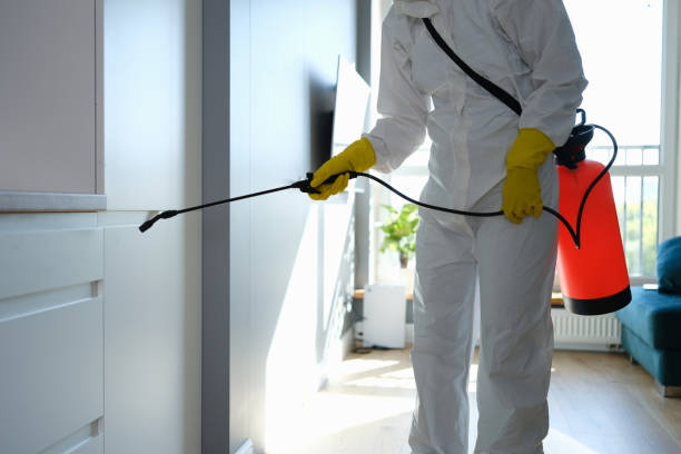 Best Residential Mold Removal  in Elgin, OR