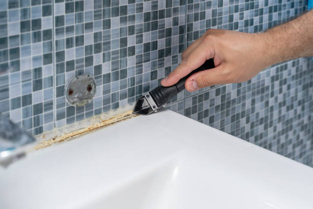 Best Mold Removal Specialists  in Elgin, OR
