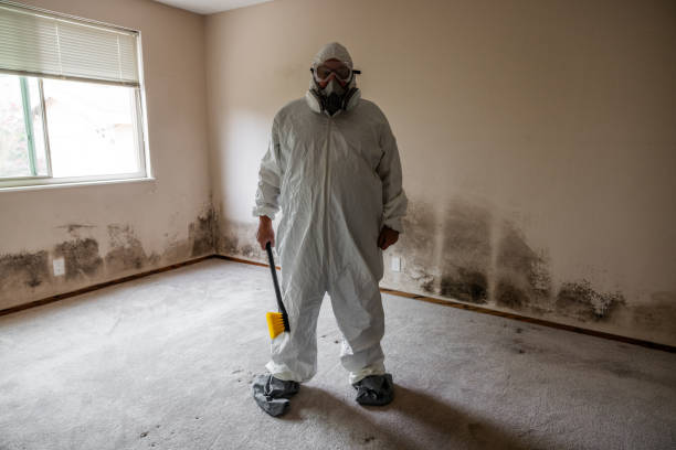 Certified Mold Removal in Elgin, OR